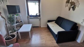 Un salon avec un canapé, une table basse, un téléviseur, une plante en pot et un radiateur.