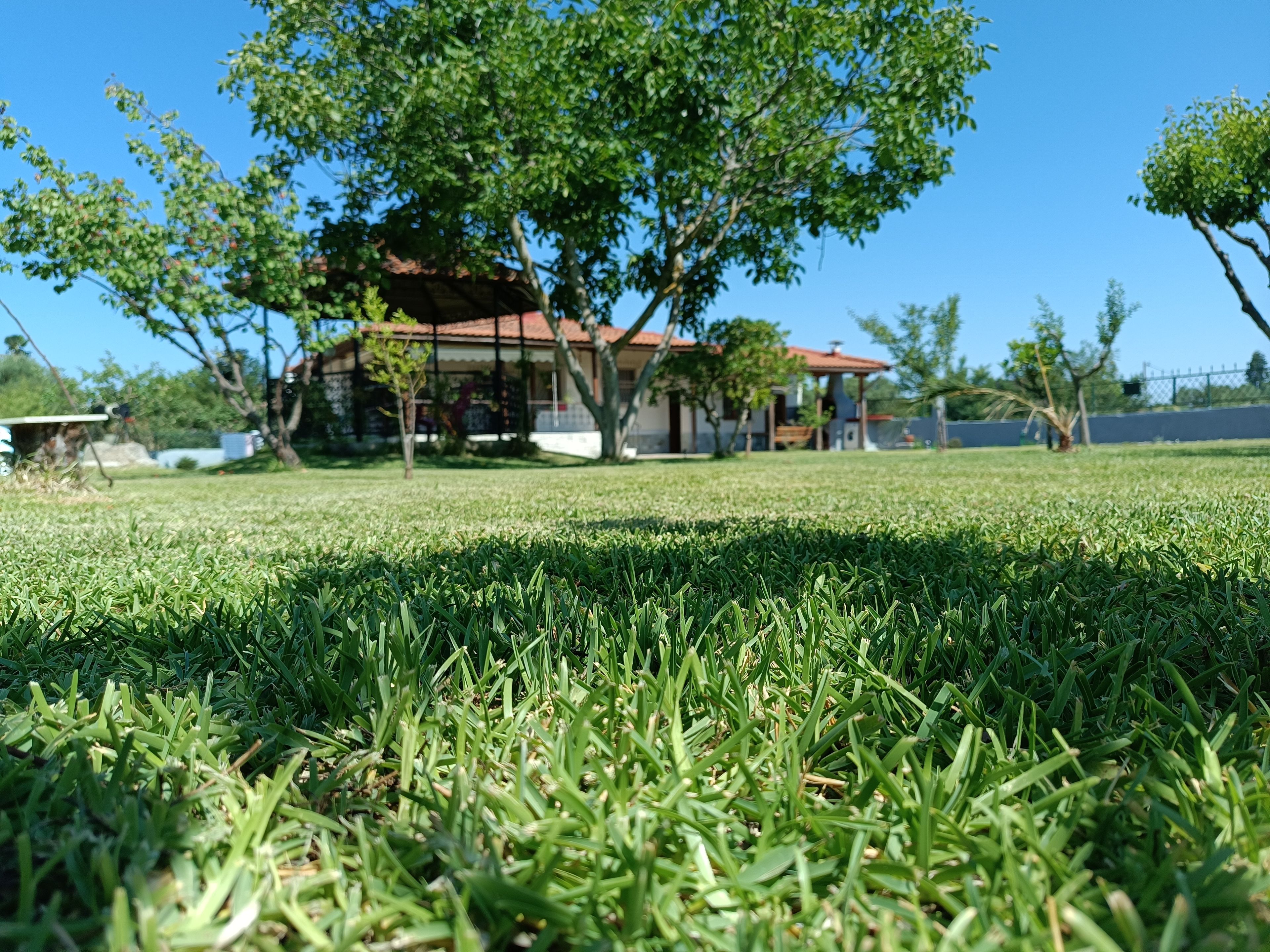 A grassy lawn with a house in the background.