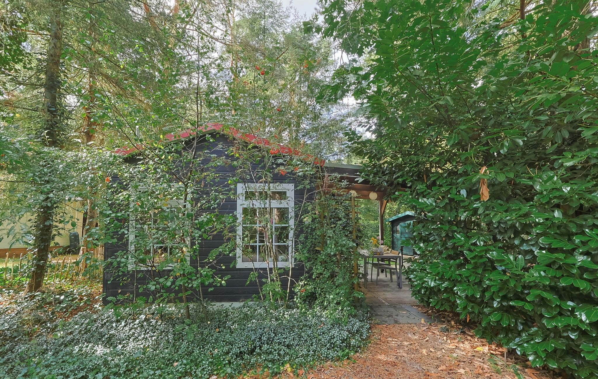 A garden with a small wooden structure, surrounded by dense foliage and a pathway leading to a seating area.