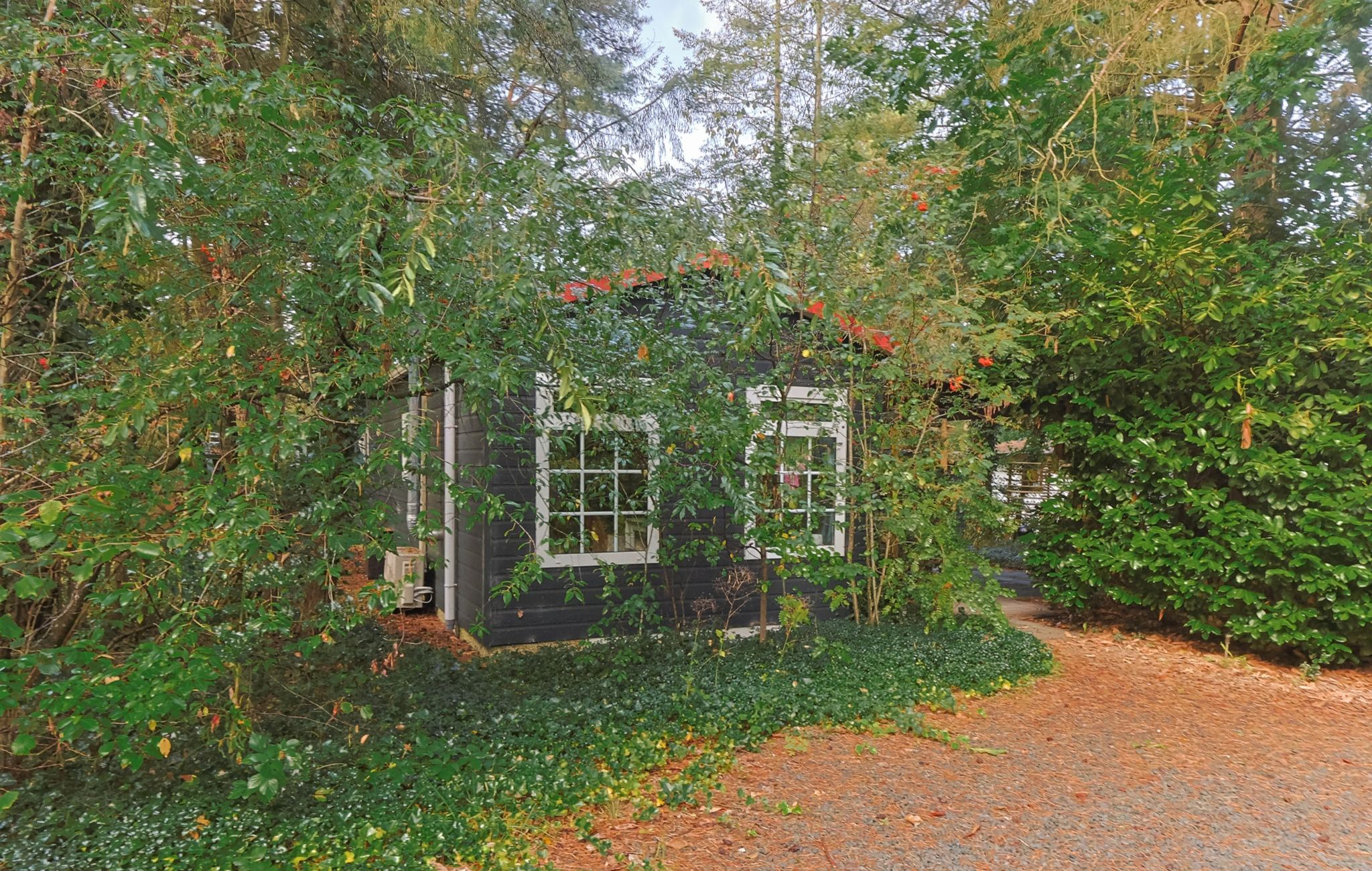 A rustic cabin surrounded by dense foliage, with a gravel path leading to the entrance.