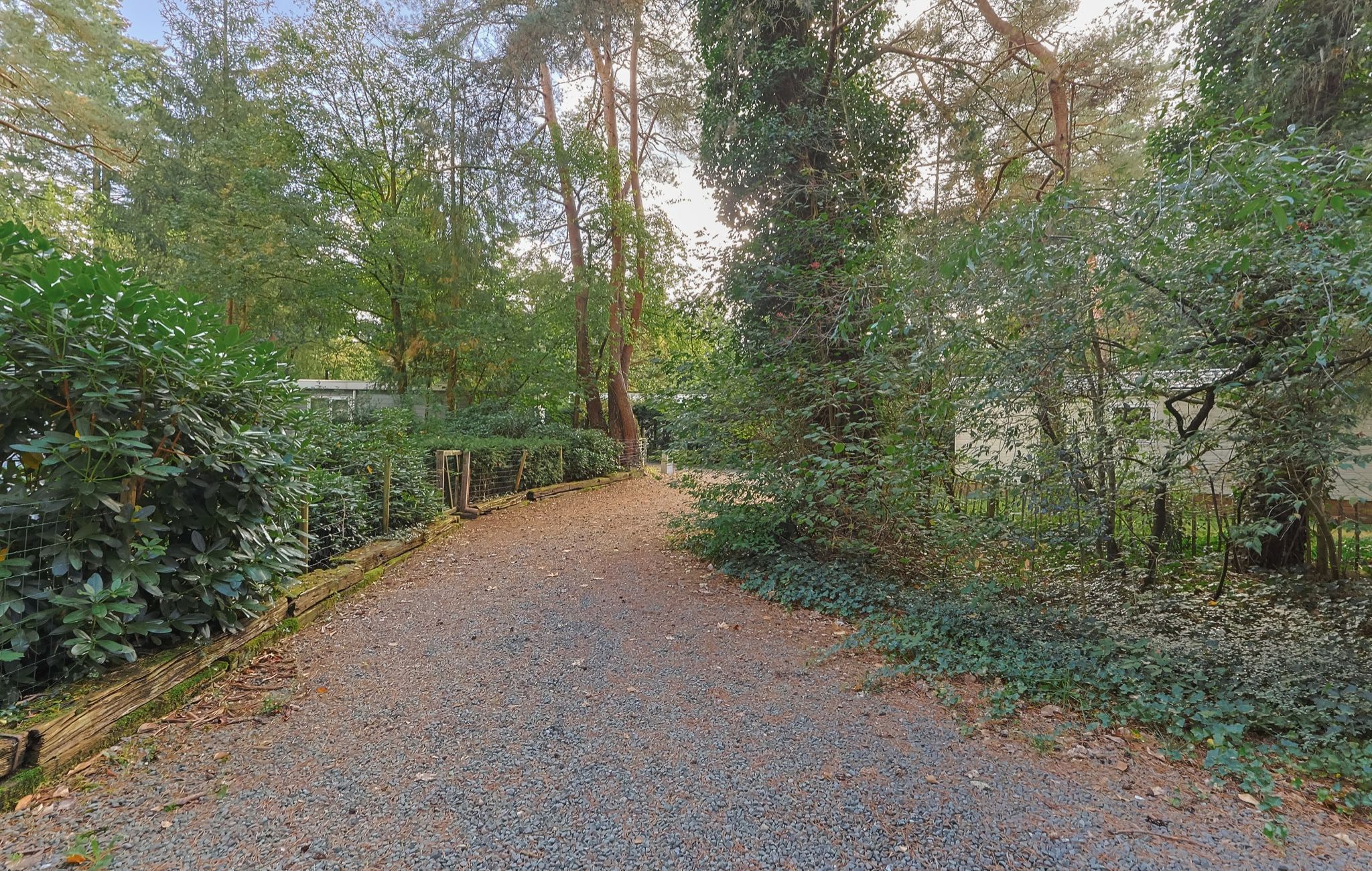 Een grindpad omzoomd door weelderige begroeiing en bomen.