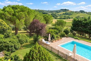 Une piscine dotée d’une terrasse en bois et de chaises longues, entourée d’une végétation luxuriante et d’arbres.