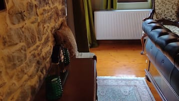 Una habitación acogedora con pared de piedra, una mesa de madera con vela, alfombra estampada, sofá de cuero y una ventana con cortinas.