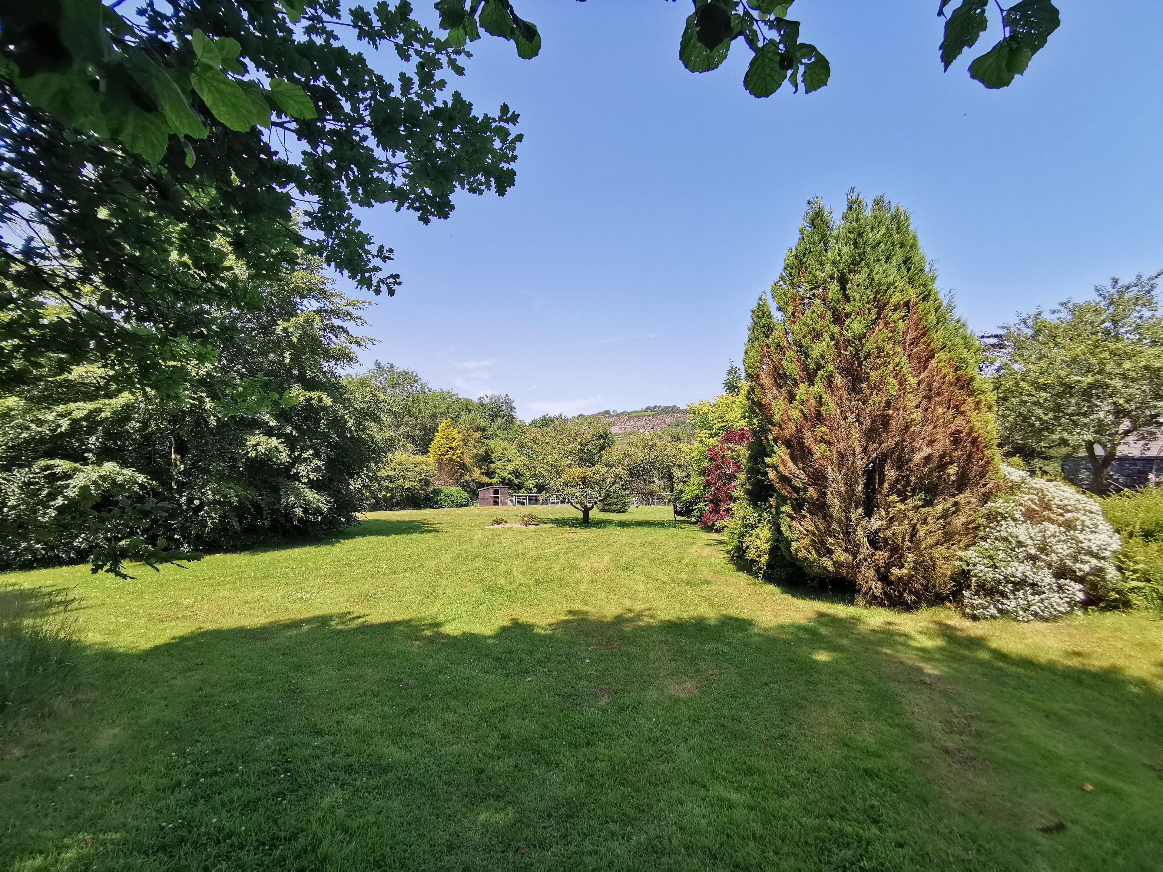 A well-maintained grassy area with a variety of trees and shrubs, including a prominent coniferous tree.