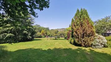 A well-maintained grassy area with a variety of trees and shrubs, including a prominent coniferous tree.