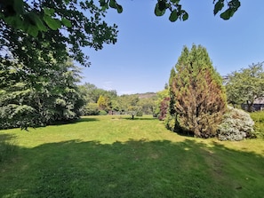 A well-maintained grassy area with a variety of trees and shrubs, including a prominent coniferous tree. - Wellstone Cottages  (Llanfyrnach)