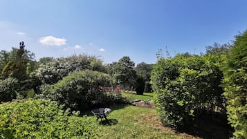 Un jardin agrémenté de diverses plantes et doté d’un espace extérieur aménagé avec des motifs en forme d’étoiles.