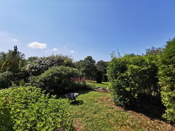 A garden with various plants and a star-patterned outdoor seating area.