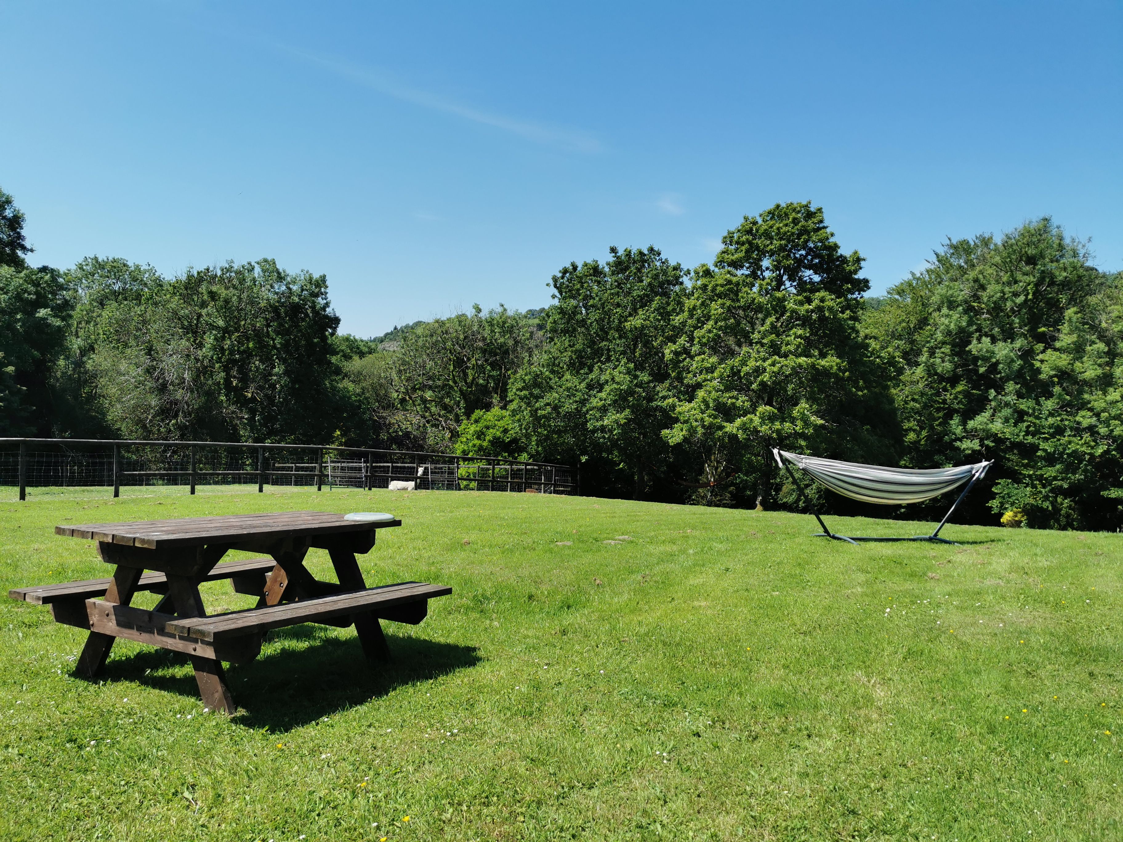 Un área de picnic con una mesa de madera y bancos, rodeada por un campo cubierto de hierba y árboles.
