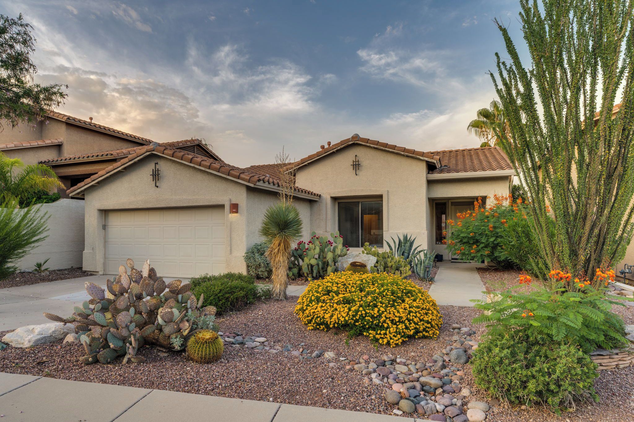 A residential property with a garage, a well-maintained garden with cacti and flowering plants, and a clear sky.