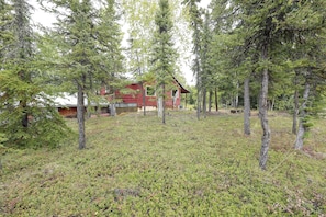 A cabin surrounded by dense forest with a grassy ground.