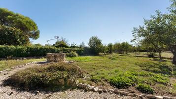 Un jardin agrémenté d’une structure en pierre, d’un chemin de gravier et de diverses plantes.