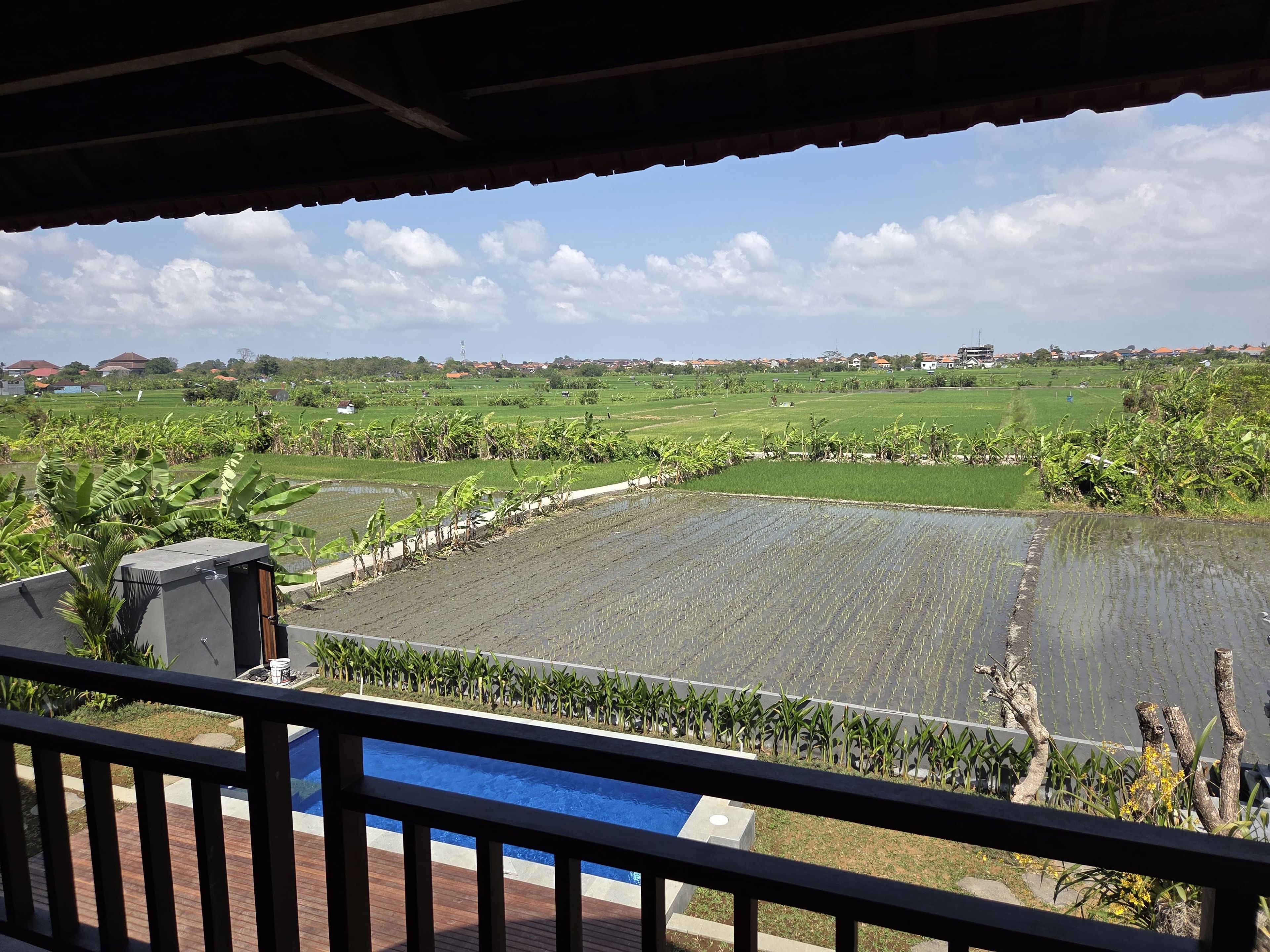 A view from a balcony overlooking a swimming pool and a rice field.