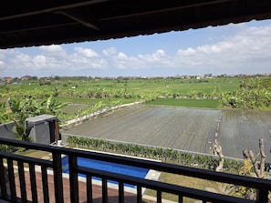 Vista desde un balcón sobre una piscina y un campo de arroz.