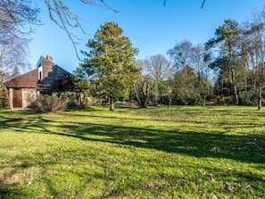 A house with a sloped roof and a chimney, surrounded by a grassy yard and trees. - Holiday Home With 4 Bedrooms (Burgh-Haamstede)