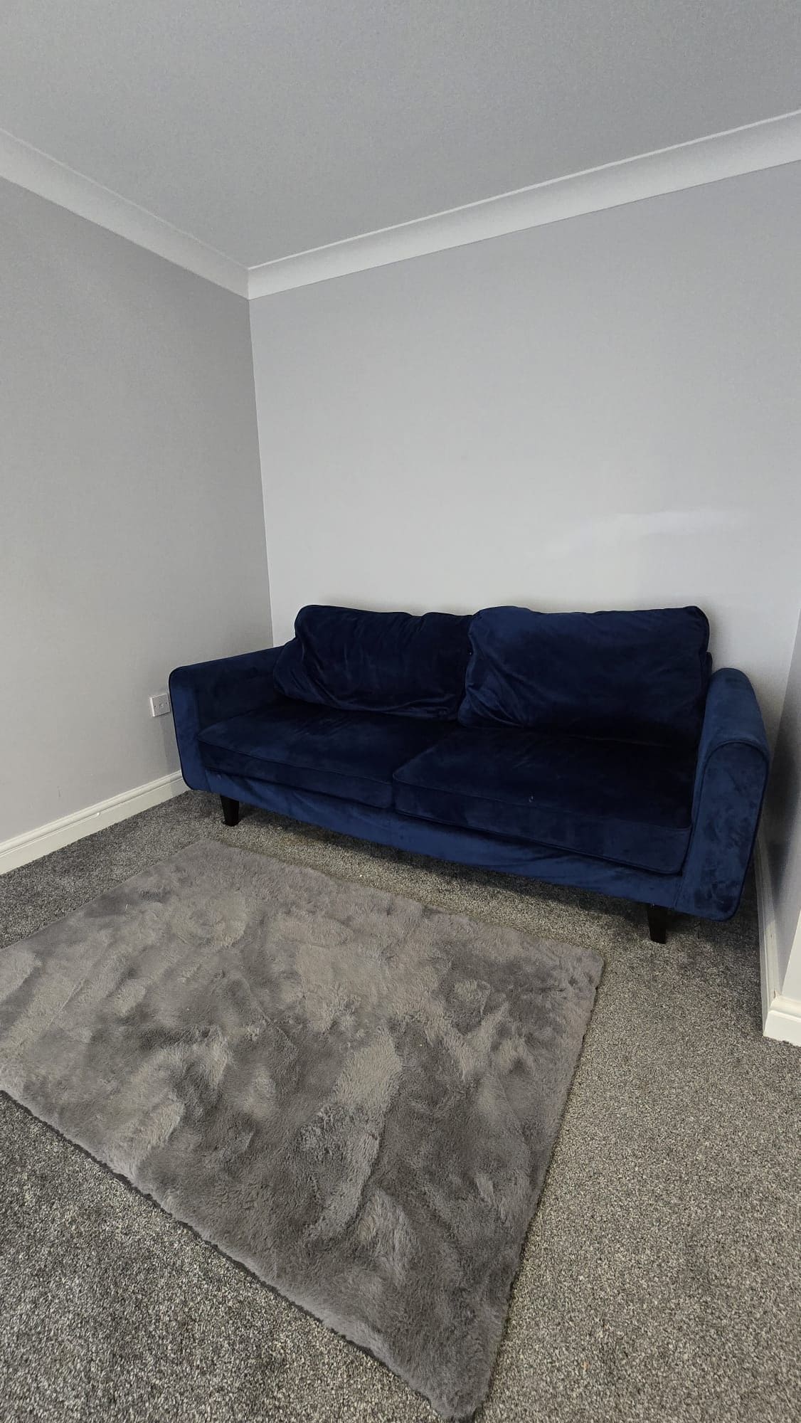 A room with a dark blue sofa against a white wall, a grey carpet, and a white baseboard.