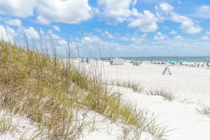 Ein Sandstrand mit Dünen und spärlicher Vegetation.