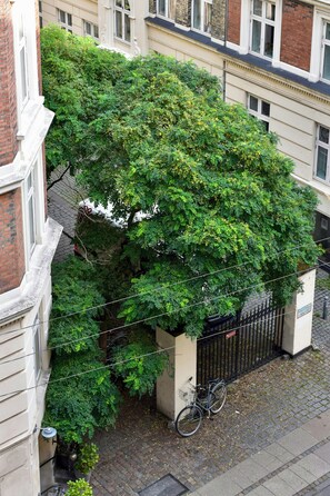 Um edifício com uma grande árvore crescendo sobre a lateral, uma bicicleta encostada na parede e uma cerca de metal preta.