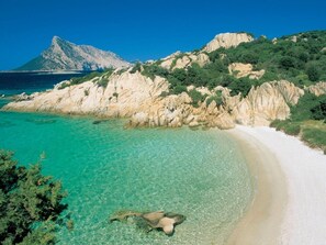 Ein Strand mit klarem türkisfarbenem Wasser, weißem Sand und felsigen Klippen mit viel Grün.