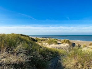 A beach with dunes and a clear sky. - Vr03 Holiday Home Breezand With dog (Vrouwenpolder)