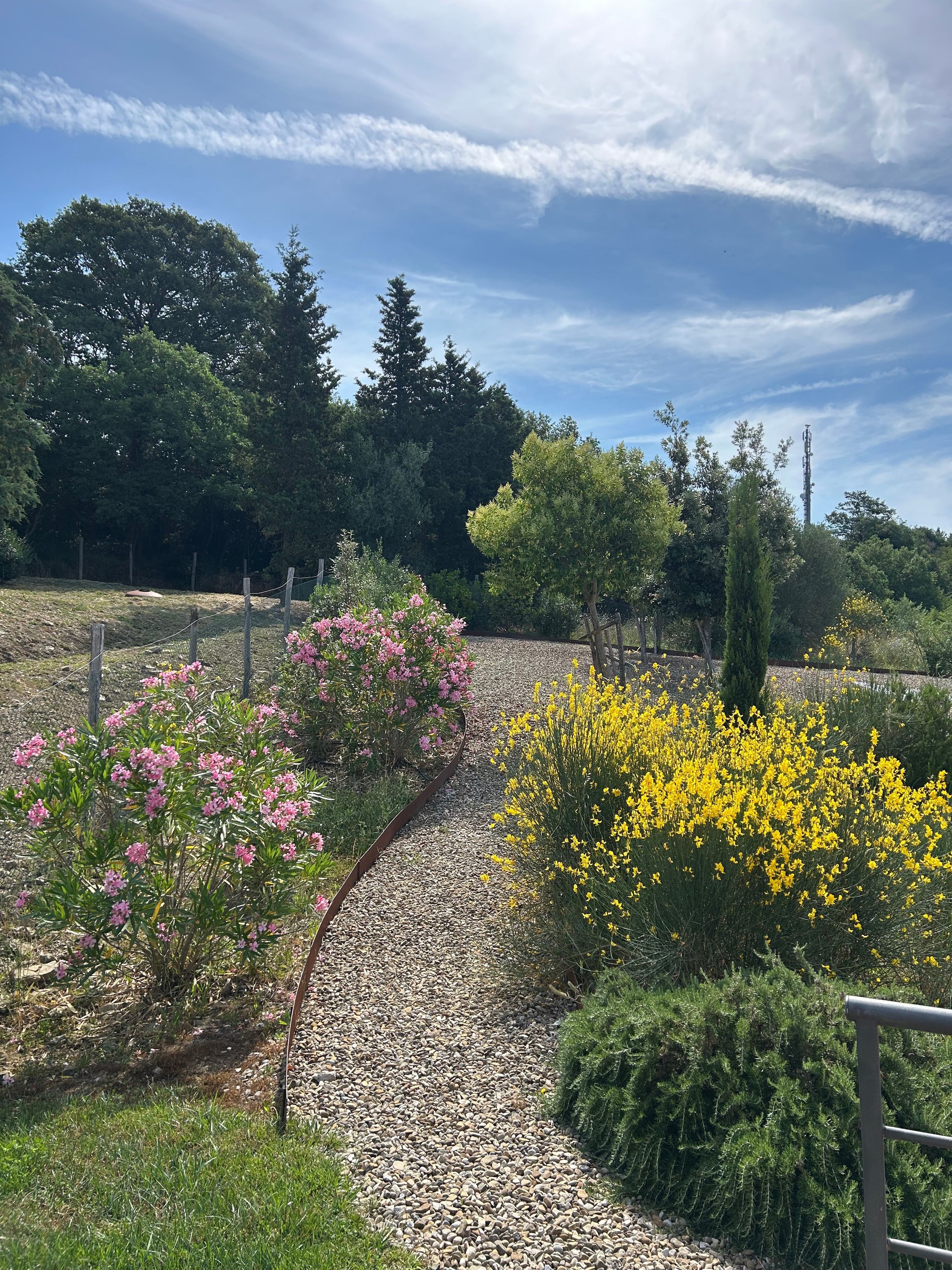 A gravel pathway surrounded by various flowering plants and trees.