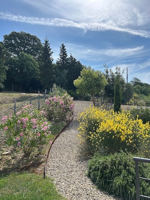A gravel pathway surrounded by various flowering plants and trees. - Villa 'San Casciano' with Village View and Private Pool (San Casciano dei Bagni)