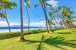 A coastal landscape with palm trees and a view of the ocean. - Expansive Ocean Views in Puamana 48-3 (Lahaina)