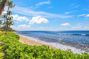 A beach with palm trees and a clear blue sky. - Expansive Ocean Views in Puamana 48-3 (Lahaina)