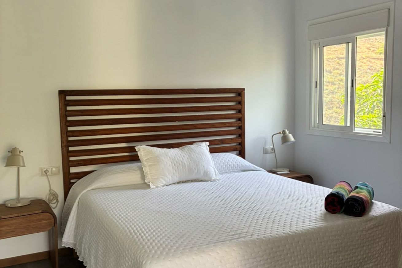 A bed with a wooden headboard, white bedding, a bedside table with a lamp, and a window with a view of greenery.
