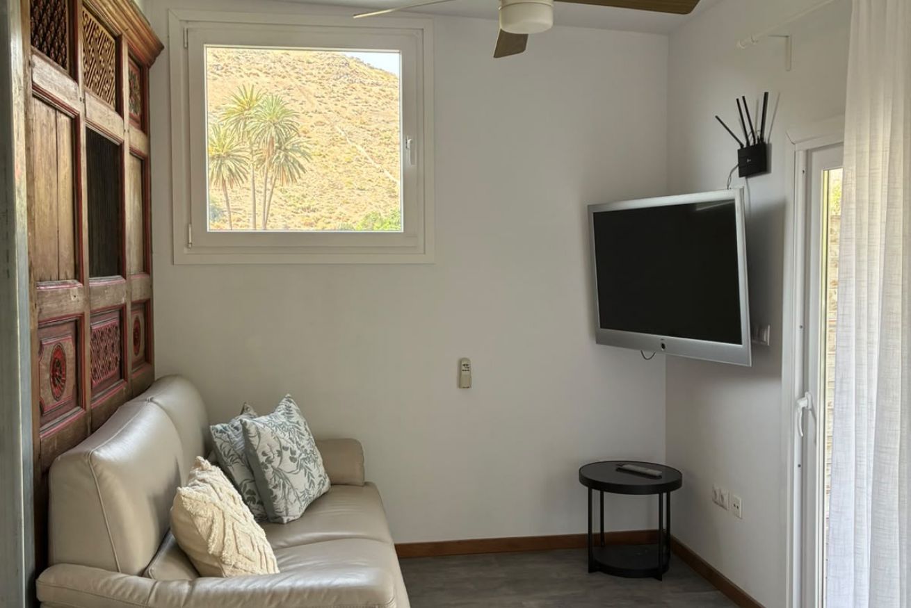 Una sala de estar con un sofá, un televisor, una mesita y una ventana con vista a palmeras.