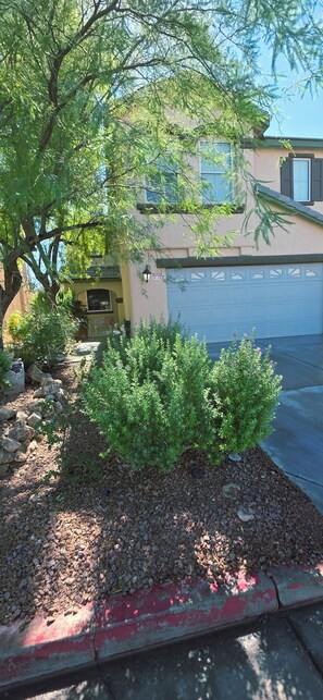 Une allée menant à une maison, avec une porte de garage, un arbre et un espace paysager agrémenté d’arbustes.