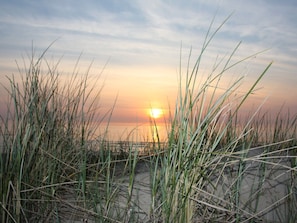 Ein Sonnenuntergang über einem Strand mit hohem Gras im Vordergrund.