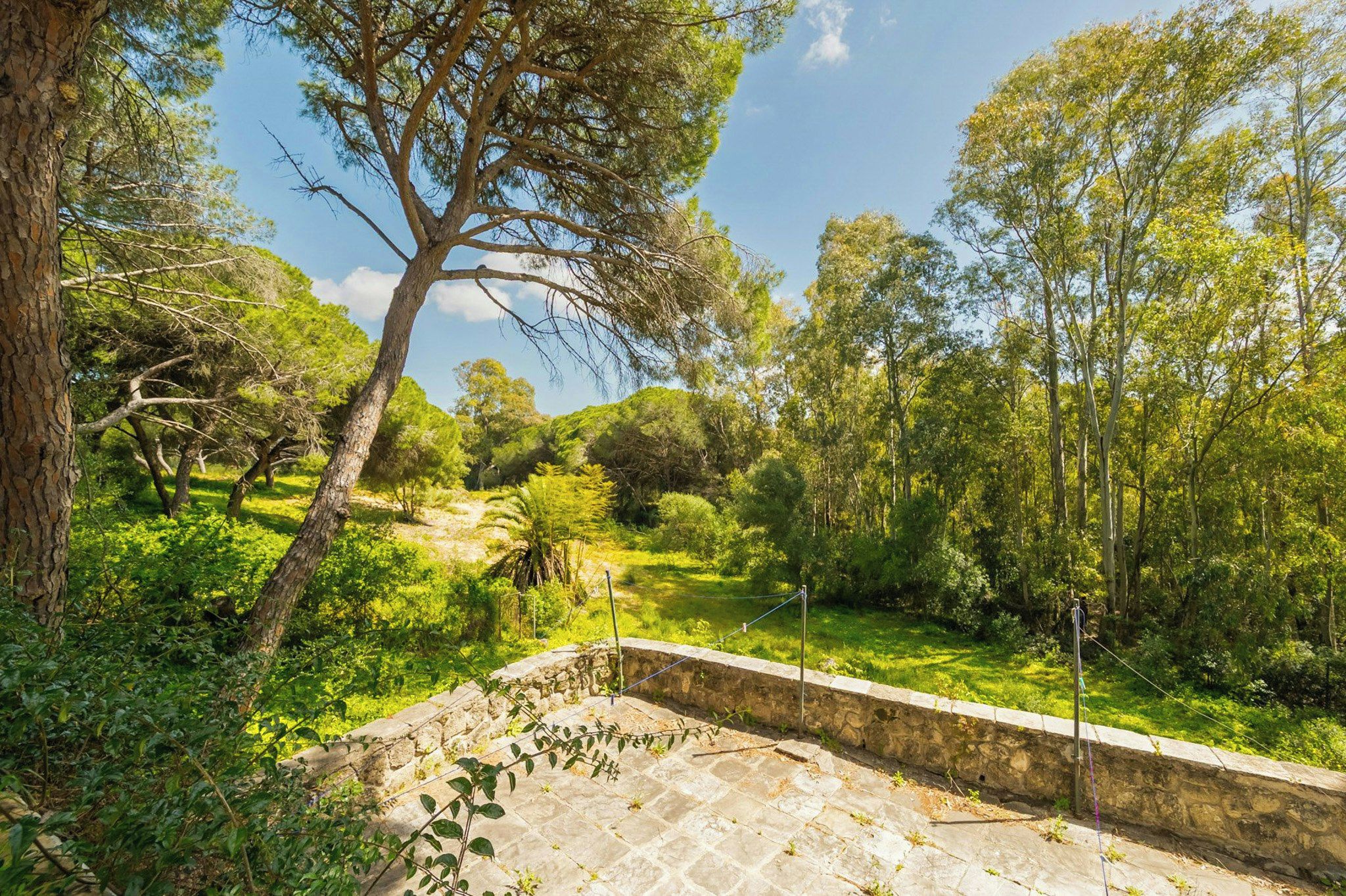 A stone wall with a metal railing, surrounded by dense greenery and trees.