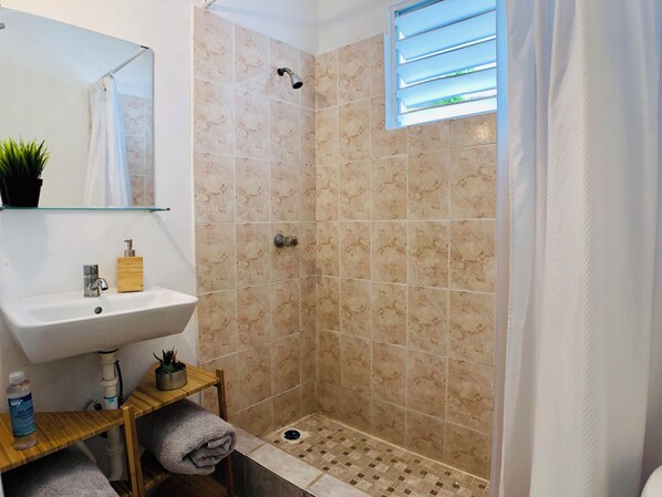 Ein Badezimmer mit Dusche, Waschbecken, Spiegel und einer kleinen Ablage für Toilettenartikel.