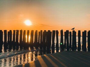 Ein Sonnenuntergang über einem Strand, mit hölzernen Pfählen, die silhouettiert am Himmel stehen.