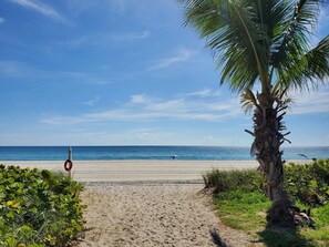 A sandy beach path leading to the ocean with a palm tree on the right. - Luxury 2-bedroom condo with amazing views in beautiful Surfside furnished (Surfside)