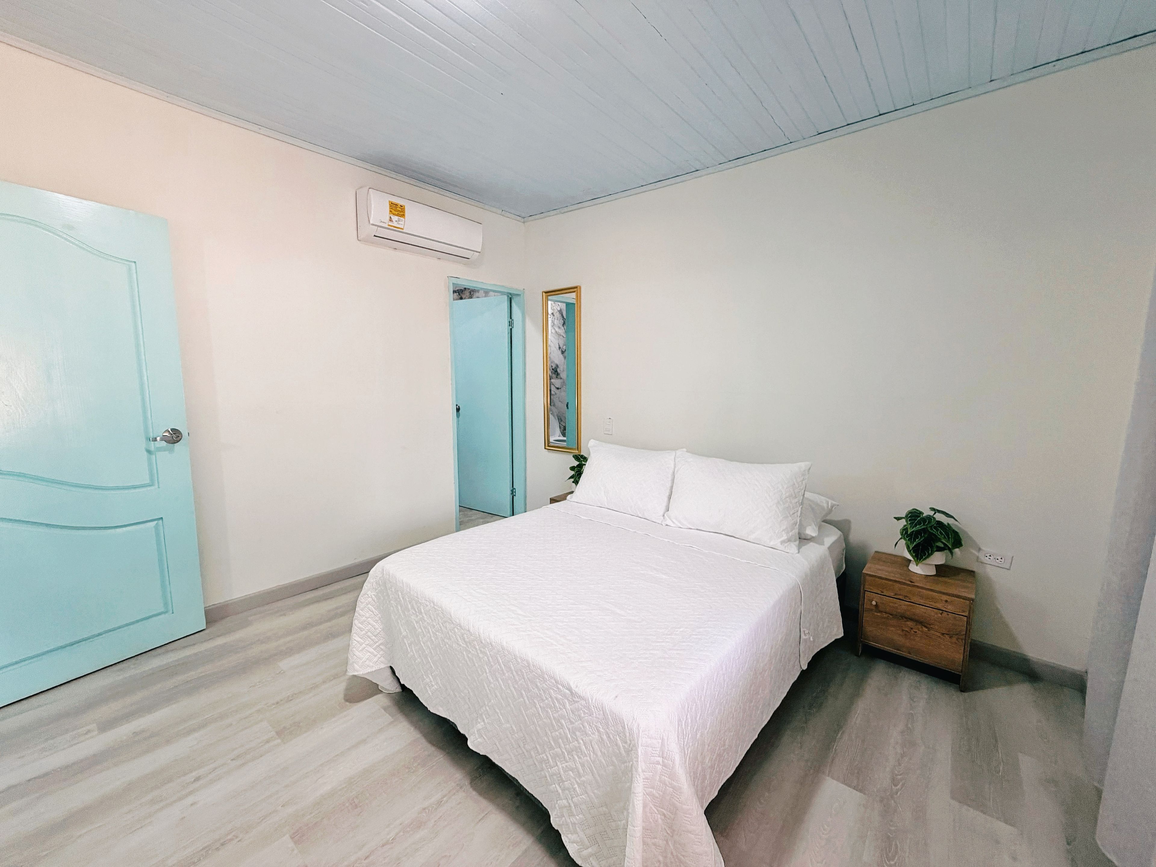 Une chambre à coucher avec un lit, une table de chevet, une plante en pot, une porte et un appareil de climatisation.