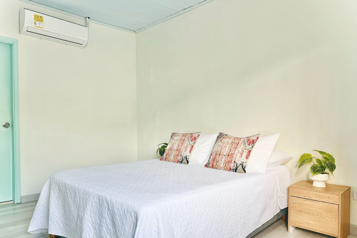 A bedroom with a bed, pillows, a bedside table with a plant, and a door.