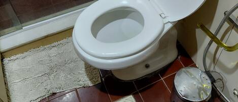 A bathroom with a white toilet, a shower area, and a floor drain.