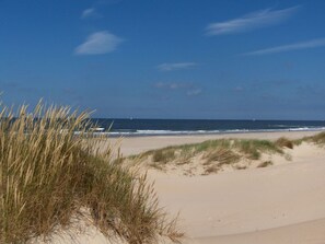 A beach with sand dunes and the ocean. - Holiday Apartment With 2 Bedrooms (De Koog)