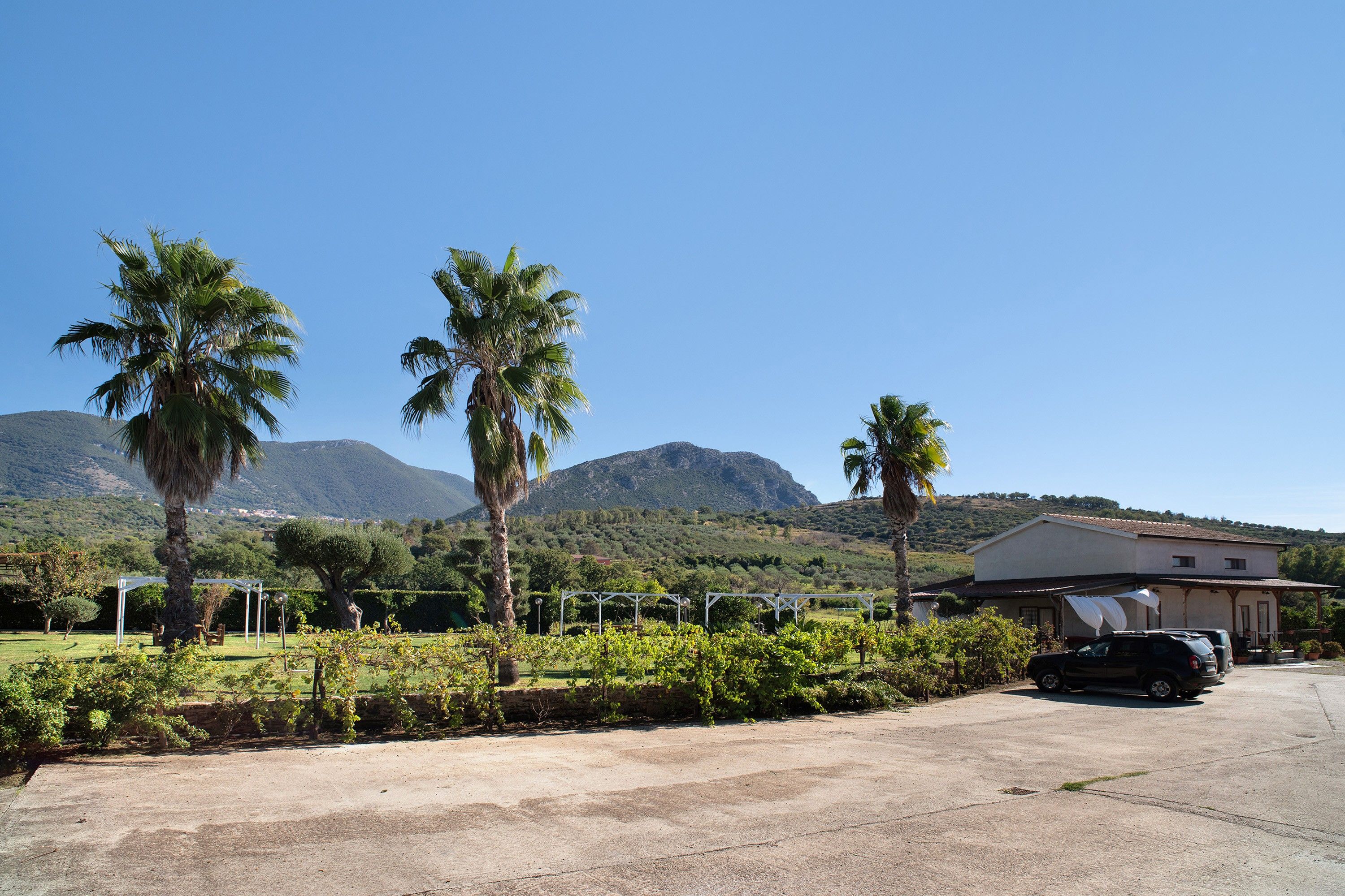 A property with a paved parking area, a building with a sloped roof, and palm trees.