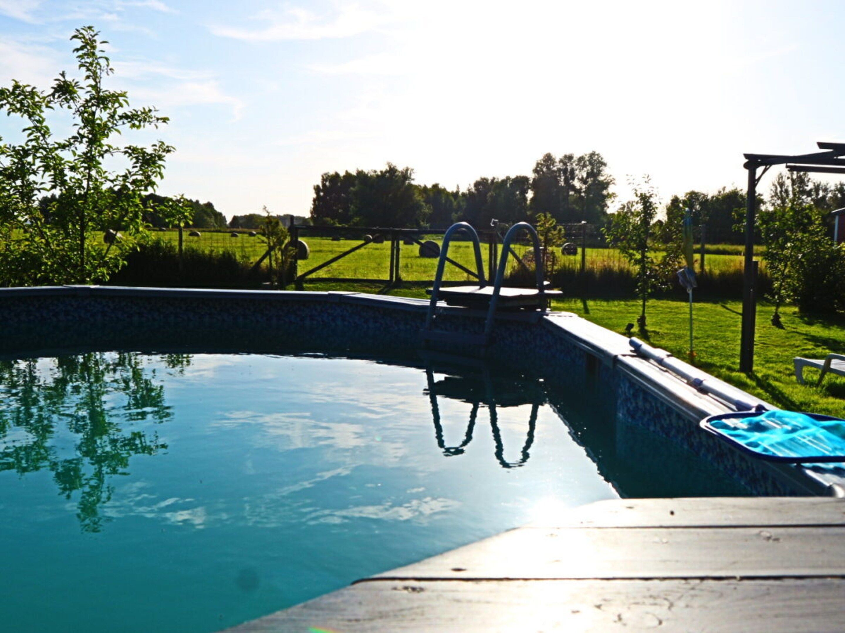 Une piscine avec un plongeoir et une zone herbeuse en arrière-plan.