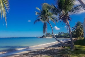 Una playa con palmeras y agua azul cristalina.
