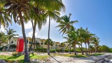 A beachfront hotel with palm trees, a red telephone booth, and a clear sky.