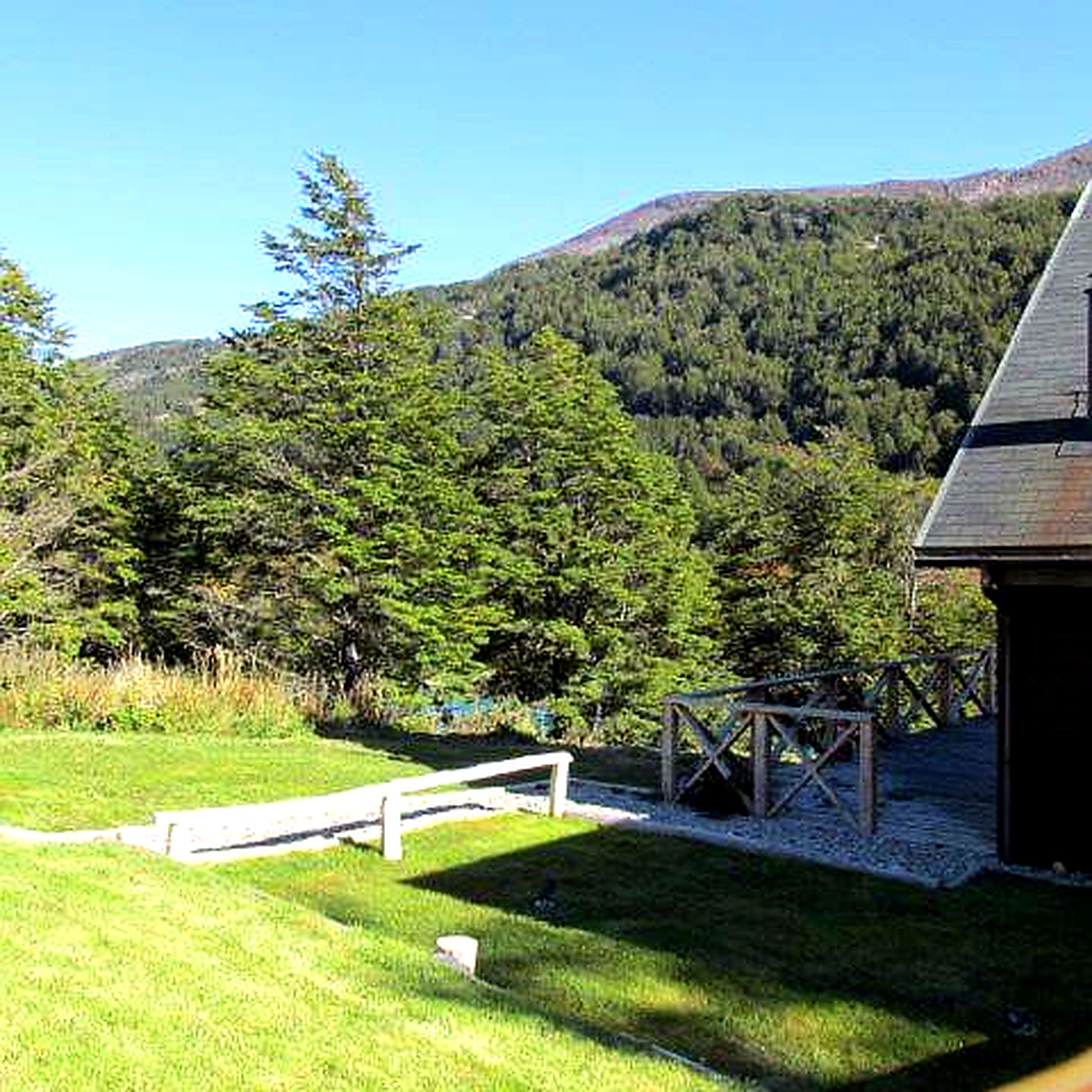 Un'area verdeggiante con una panchina di legno, una piccola costruzione in legno e un pendio boscoso sullo sfondo.