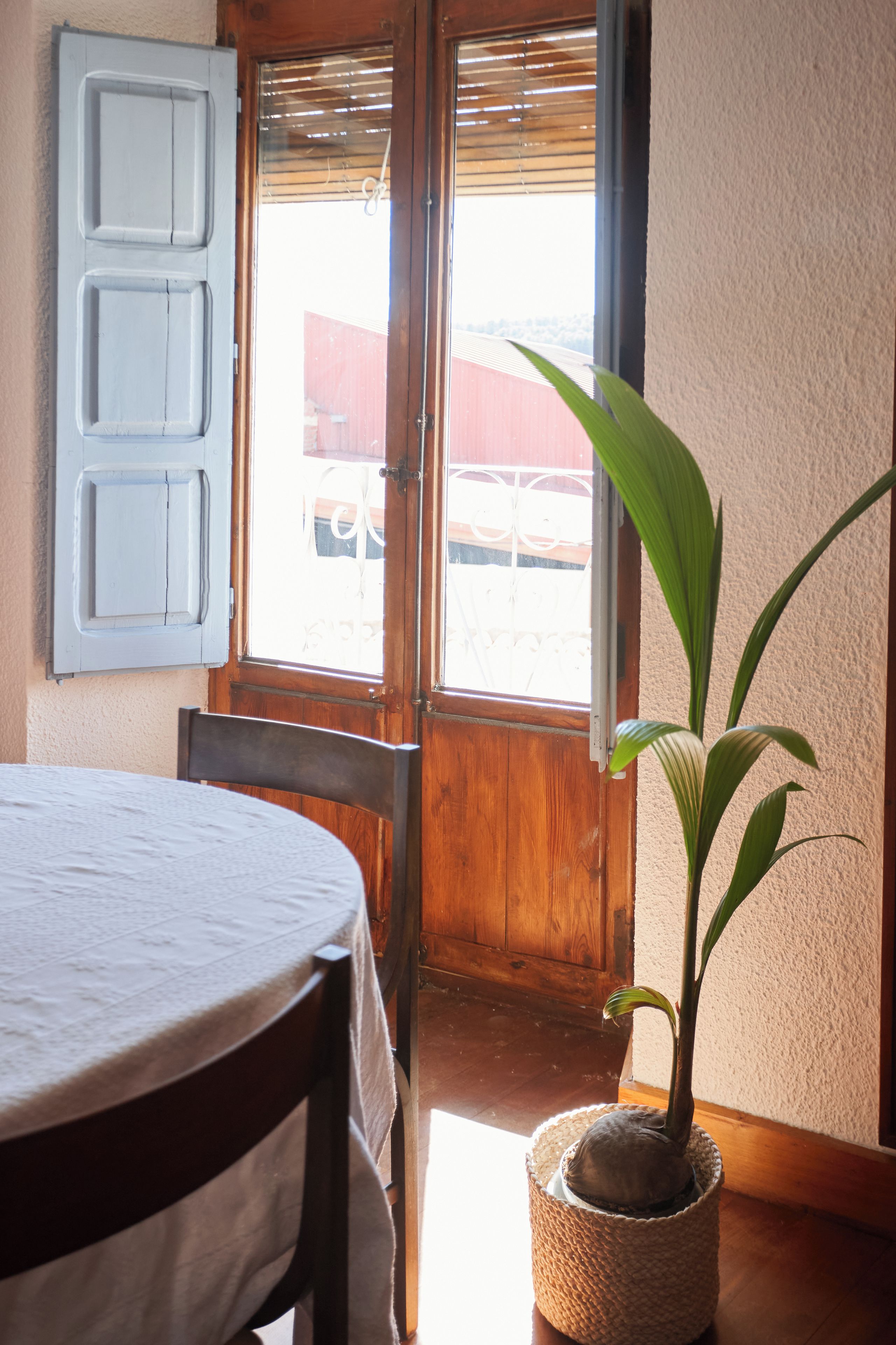 A room with a wooden door, a round table, and a potted plant.