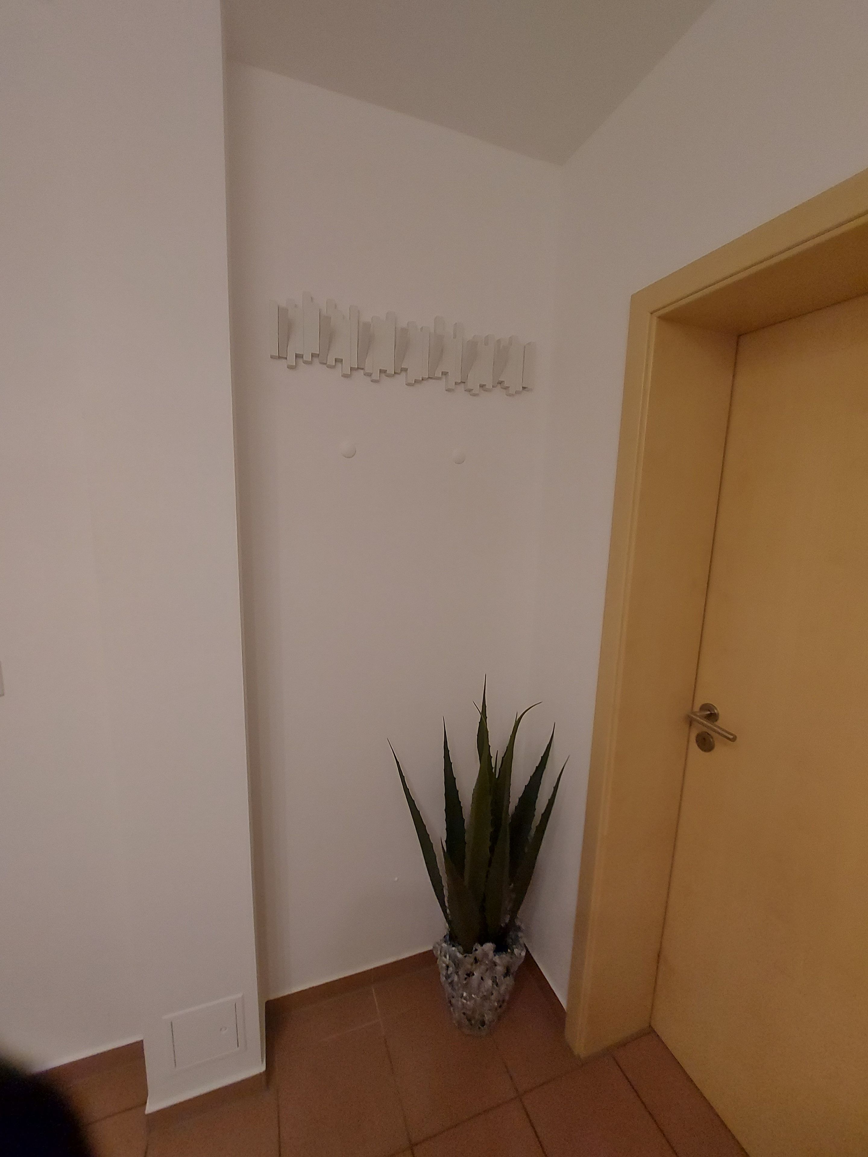 A room with a white wall, a door, and a potted plant.