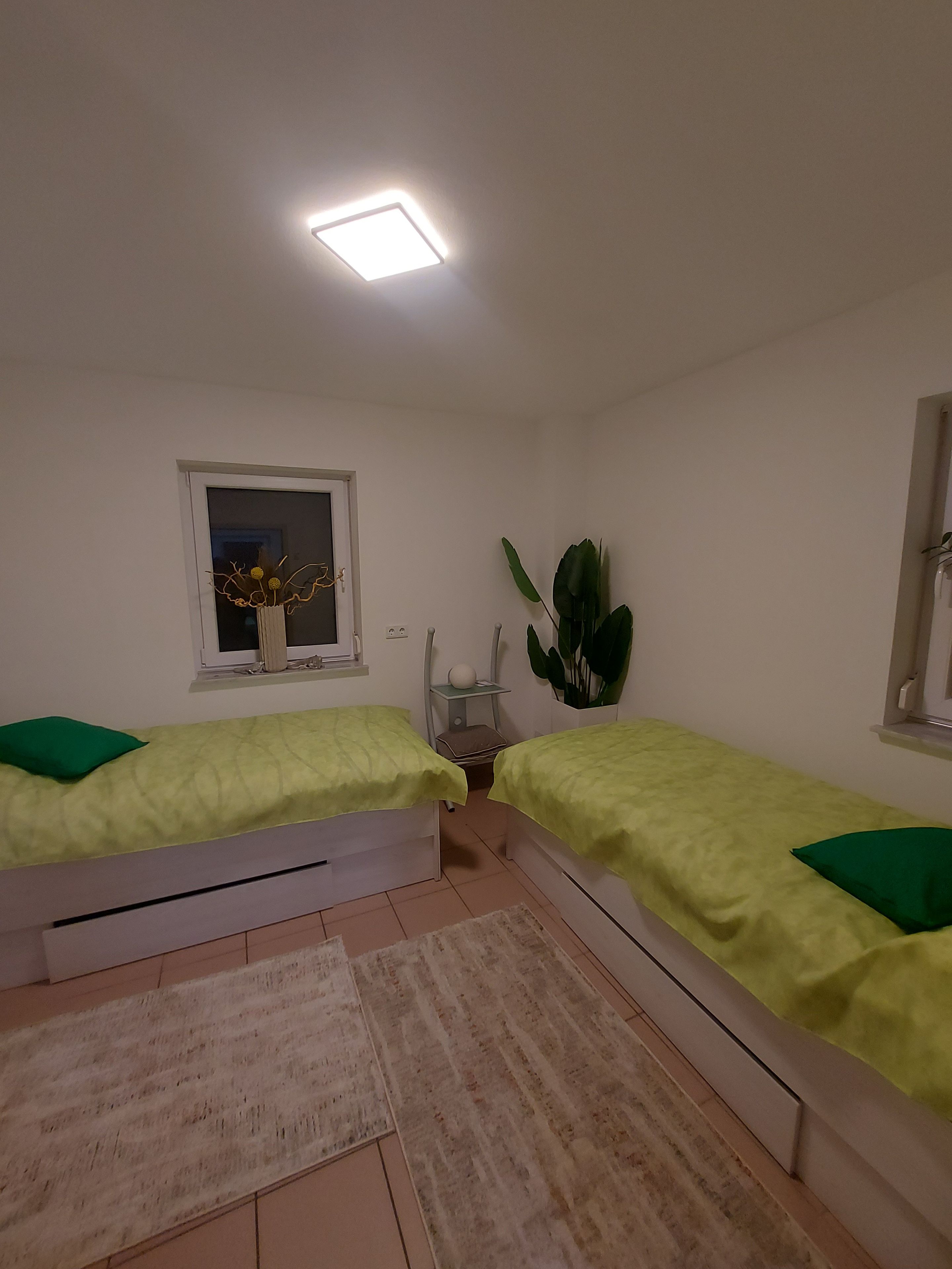 A room with two beds, a window with a view, a plant, and a nightlight.