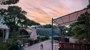 Outdoor dining - Casa Rurale – Elba Apartment, spacious with sea views (Toscana)
