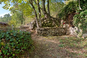 A stone wall with a metal gate, surrounded by trees and vegetation.